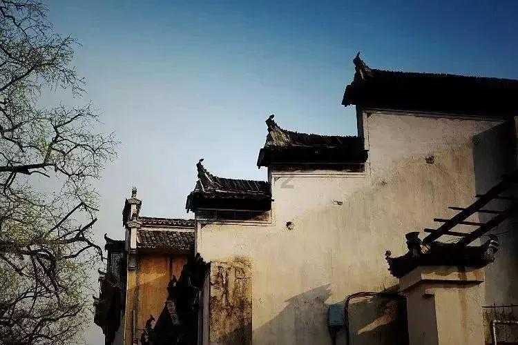 haha体育平台